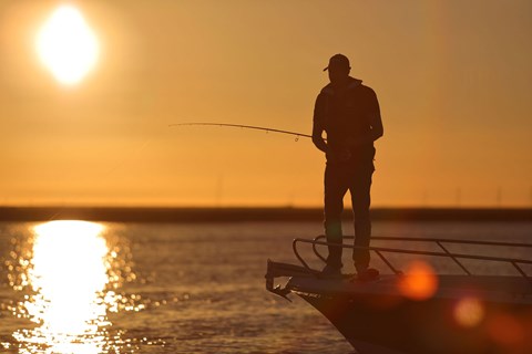 Autotuning Sonar Makes Fishing Simple
